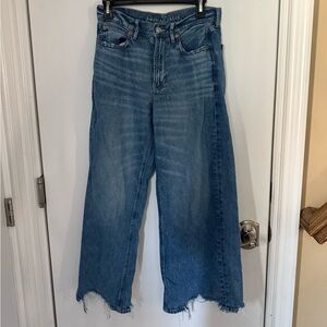 American Eagle Outfitters Blue Flare Wide Leg Jeans